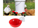 Chicken Feeder