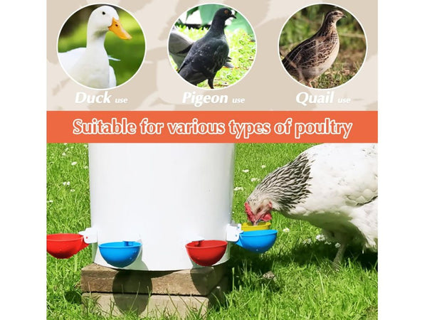 Chicken Feeder