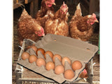 Egg Cartons