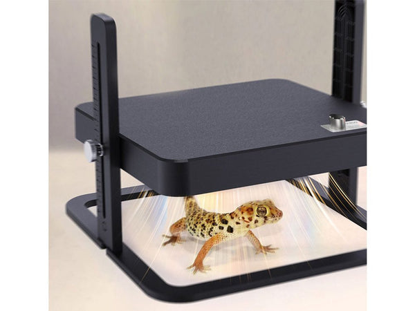 Chicken Brooder Heater