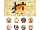 Chicken Brooder Heater