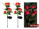 Solar Lights