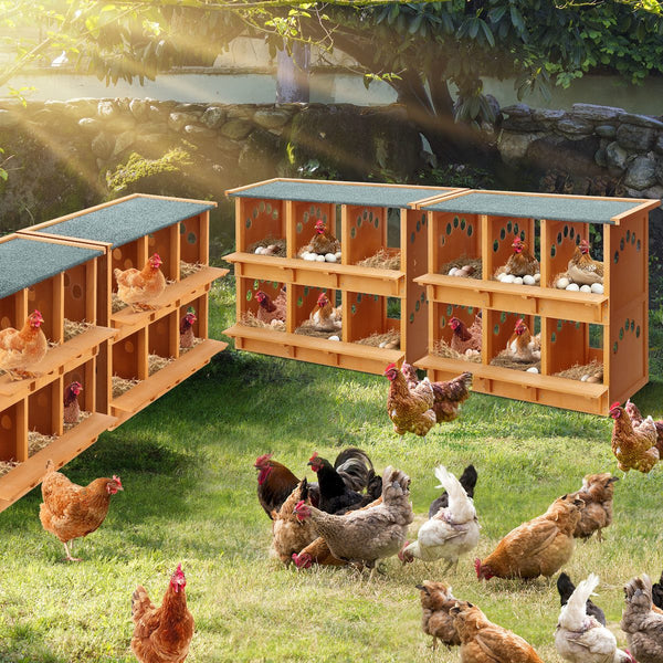 Chicken Nesting Box