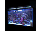 Fish Tank Aquarium Light