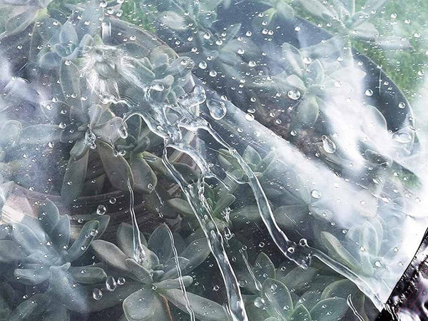 Tarpaulin Cover Tarps Clearance