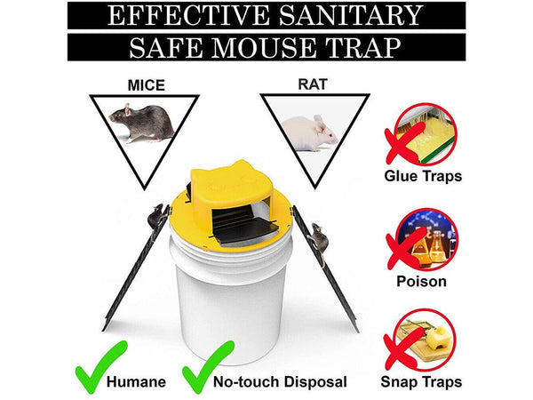 Rat Trap
