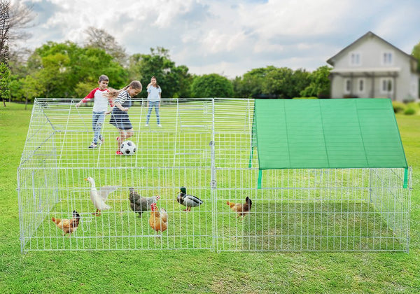 Chicken Coop Run Rabbit