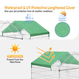 Chicken Coop Run Rabbit