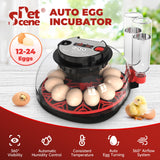 Egg Incubator Automatic