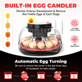 Egg Incubator Automatic