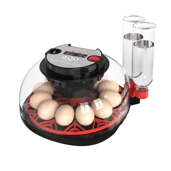 Egg Incubator Automatic