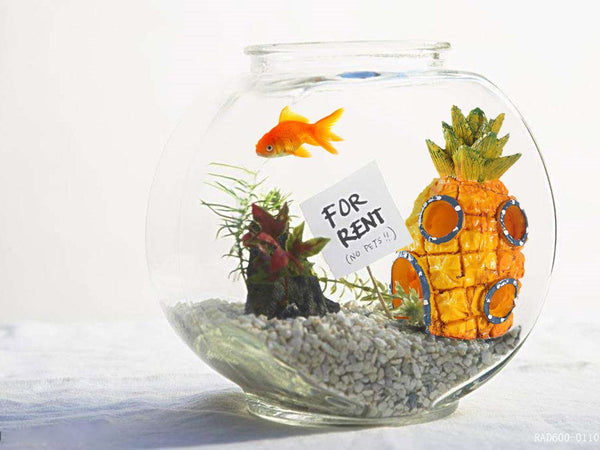 Fish Tank Ornament Aquarium Decoration - Pineapple House