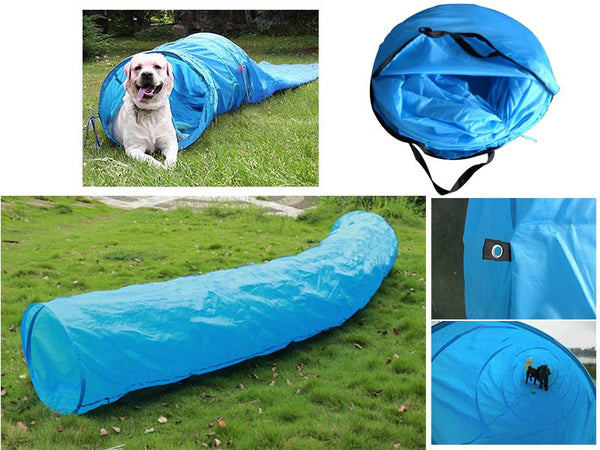 Dog Tunnel