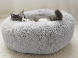 Cat Bed