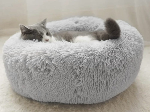 Cat Bed