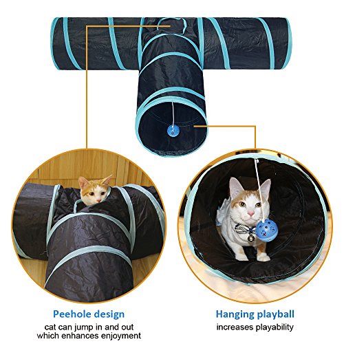 Cat Tunnel