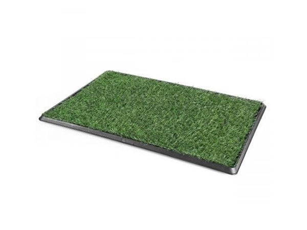 Puppy Pet Potty Training Pee