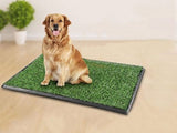 Puppy Pet Potty Training Pee