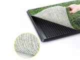 Puppy Pet Potty Training Pee
