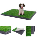 Puppy Pet Potty Training Pee