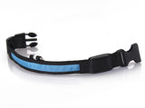 LED Dog Collar
