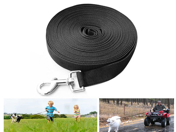 Dog Lead Dog Leash
