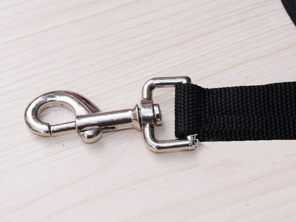 Dog Lead Dog Leash