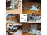 Automatic Water Bowl