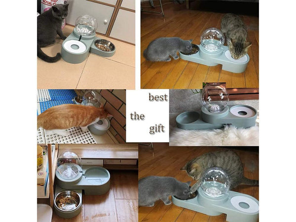 Automatic Water Bowl