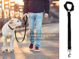 Dog Car Seat Belt