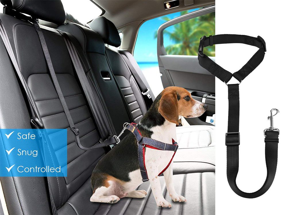 How to Use Dog Seat Belts for Pet Car Safety