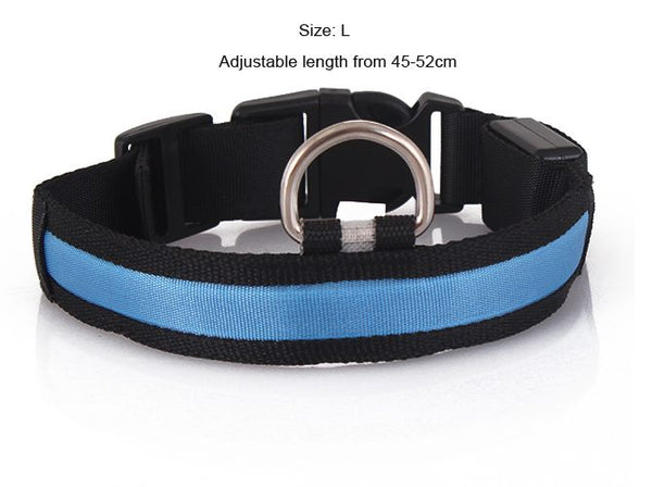 LED Dog Collar