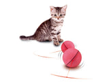 FUNNY CAT TOY - Auto Running Ball LED Light Flash