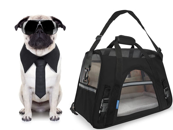 Pet Carrier + Fleece Mat