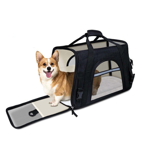 Pet Carrier + Fleece Mat