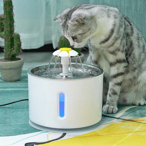 Cat Pet Auto Electric Water Feeder