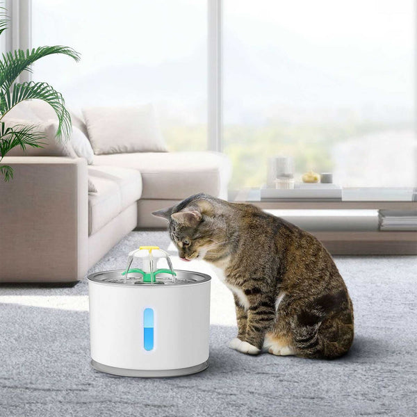 Cat Pet Auto Electric Water Feeder