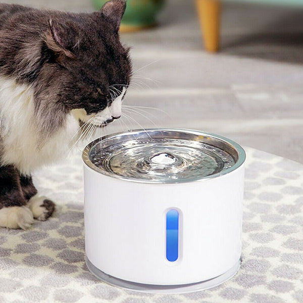 Cat Pet Auto Electric Water Feeder