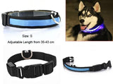 Dog Collar