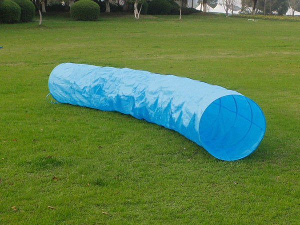 Dog Tunnel