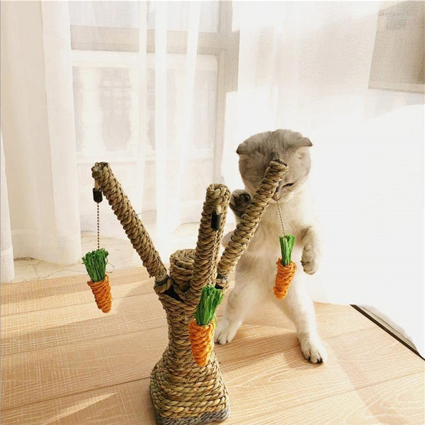 Cat Scratching Post Cat Scratcher Toy