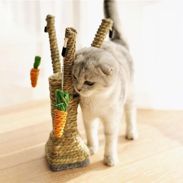 Cat Scratching Post Cat Scratcher Toy