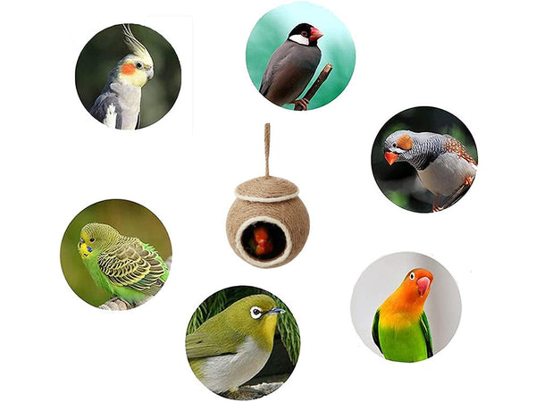 Bird Nest Bird House