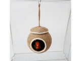 Bird Nest Bird House