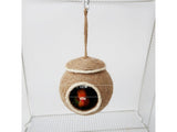 Bird Nest Bird House