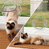 Pet Door Cat Dog Doors