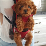 Pet Carrier Dog Cat Backpack S