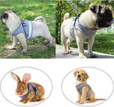 Cat Vest Harness Leash Set XL