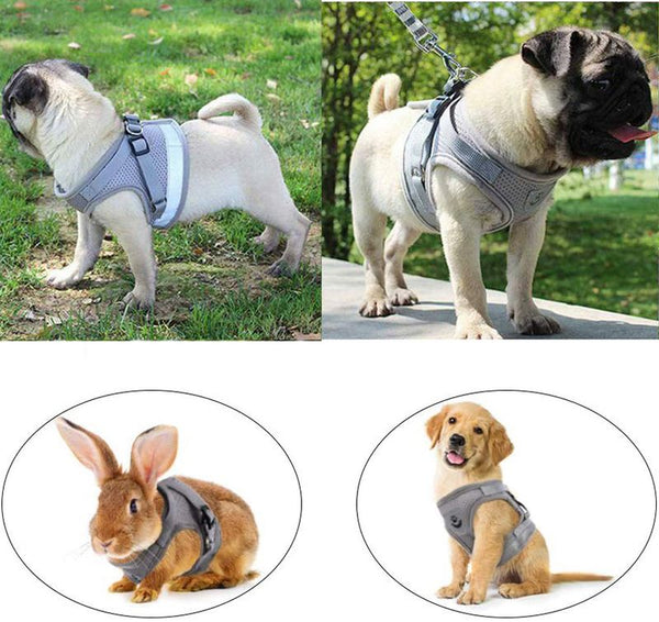 Cat Vest Harness Leash Set XL