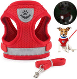 Cat Vest Harness Leash Set